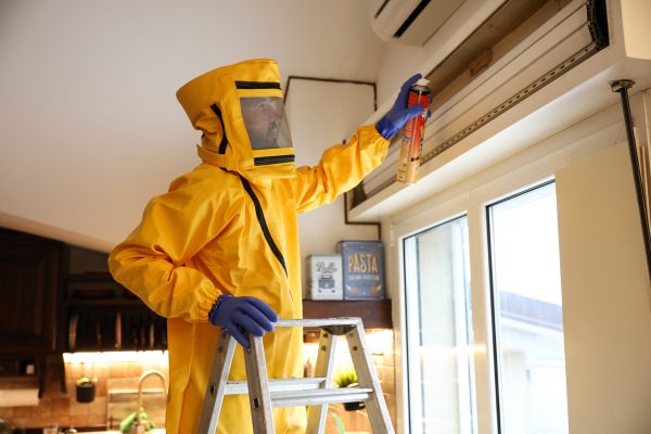 trasforma video spot